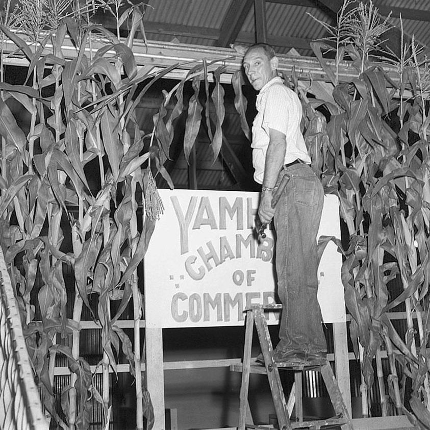 Man standing on ladder holding hammer.