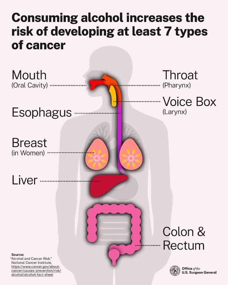 Consuming alcohol increases the risk of developing at least 7 types of cancer