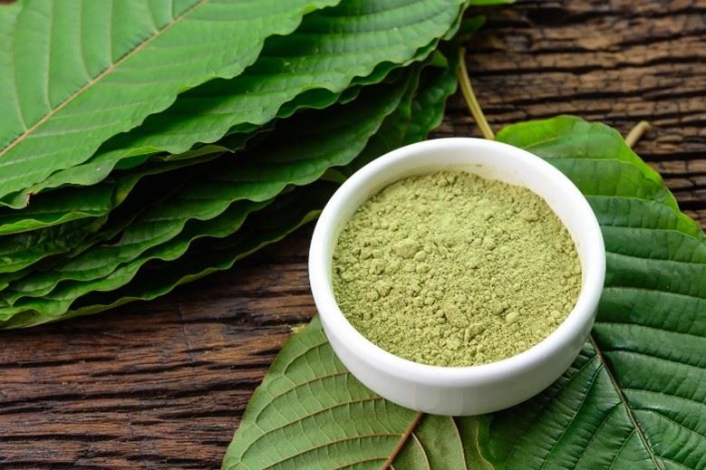 Green powder in a small white bowl on top of leaves. Kratom can be used in powder form.