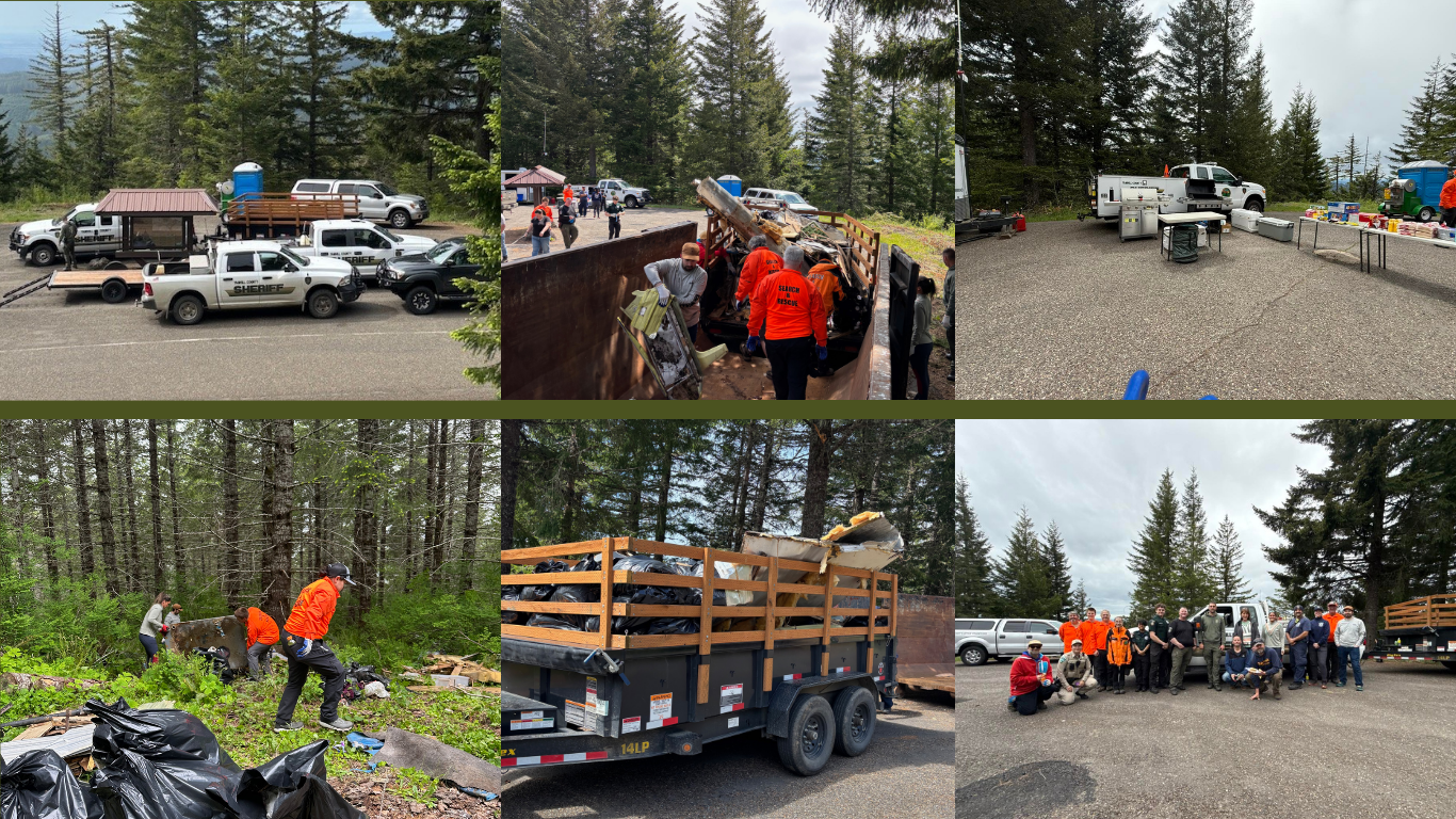 Bald Mountain Cleanup Event
